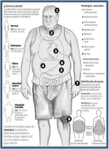 Nutri-4.jpg